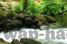 糖心app下载链接-快速解锁娱乐新视野，糖心APP的下载指南